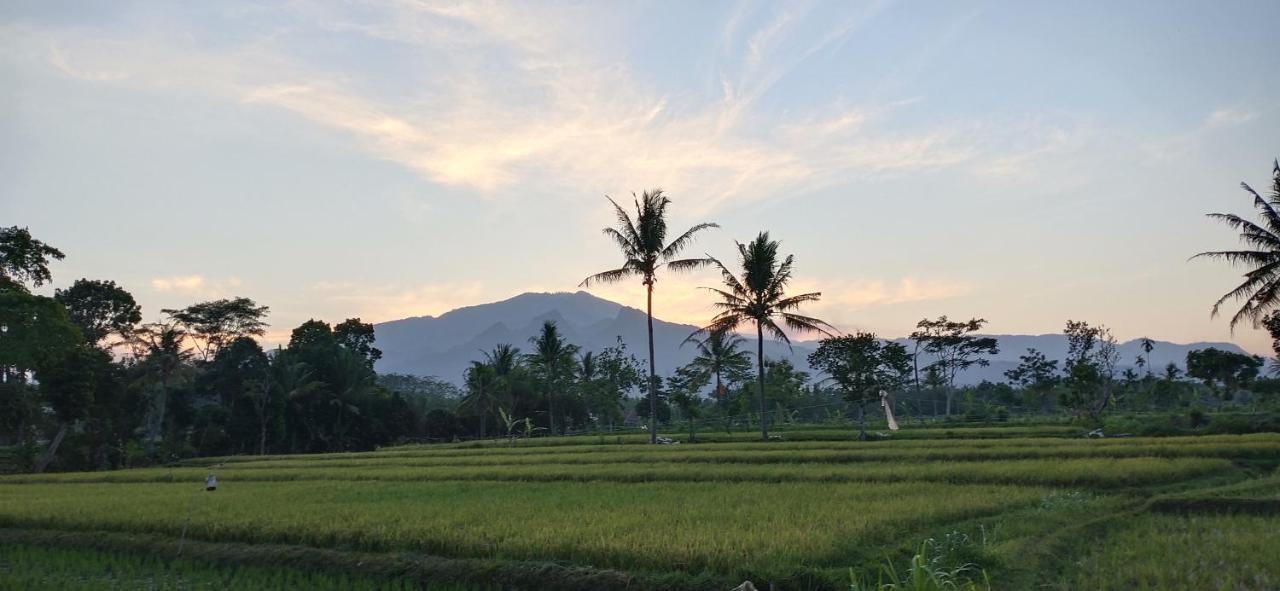 Baratha Hotel & Resto Bondowoso Luaran gambar